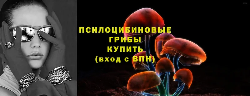 Галлюциногенные грибы MAGIC MUSHROOMS  Горняк 